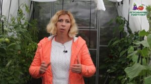 КАК УБЕРЕЧЬ РАСТЕНИЯ ОТ СТРЕССА, БОЛЕЗНЕЙ И ВРЕДИТЕЛЕ?