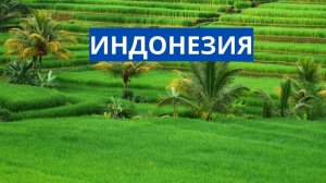 ИНДОНЕЗИЯ