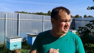 🔴Бальзам Апимакс в помощь пчелам