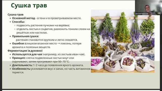 Онлайн-вебинар о лекарственных травах и ягодах для На? смотреть онлайн