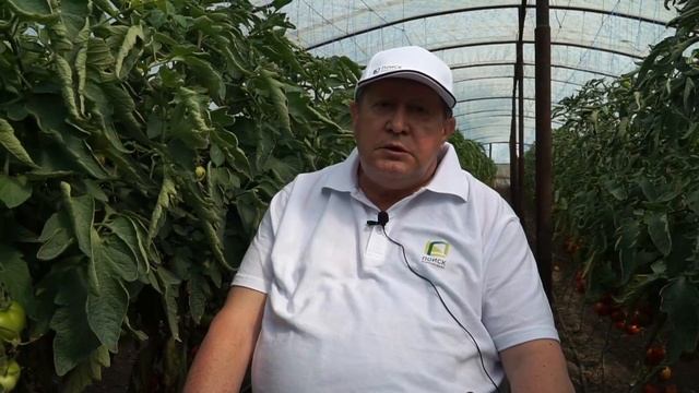 Почему семена перца не всходят? смотреть онлайн