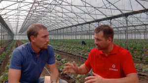 Тепличный бизнес, часть 1. Что нужно знать перед тем, ка