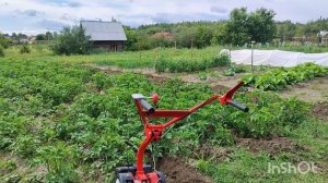 Второе окучивание картошки мотоблоком Агат. Сезон 2025.