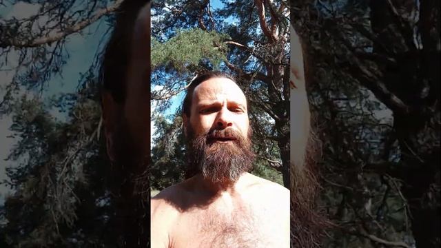 АТЛЕТИКА ФИТНЕС Fitness здоров богат поместья фруктов са? смотреть онлайн