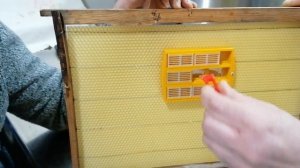 Банк маток. Детальный обзор. Часть 1