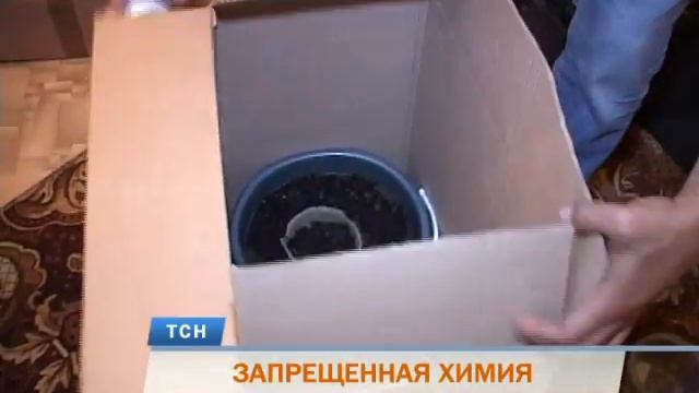 Пермяк организовал дома мини-лабораторию по выращива? смотреть онлайн
