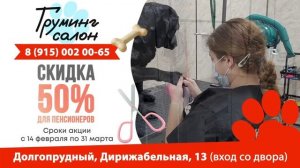 ТРАНСМЕДИА - Груминг салон