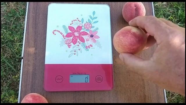 Персик Фламінго смотреть онлайн