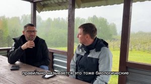 Как уберечь сад от заморозков? Советы от эксперта, вед?