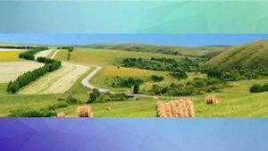 Волчихинский район Алтайского края