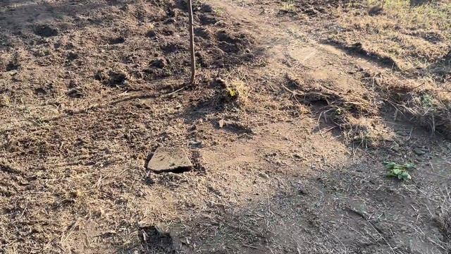 Начинают Расти Огурчики / уборка участка / Мать переод? смотреть онлайн