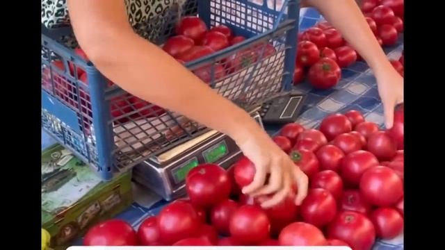 Наш обычный день на Кубани влог от Петровчанки Леры gar