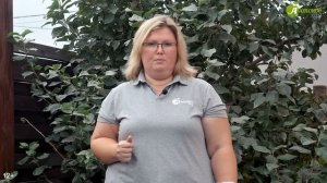 3 лучших рецепта для обработки деревьев осенью! Мочеви