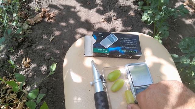 Форма Калугіна Віктора Михайловича Блондинка рання