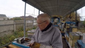 Объединение пчел Нюансы осеннего объединения пчел