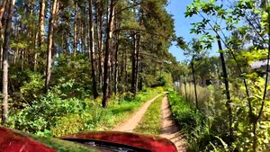Орёл. За городом. Из окна машины. Визуальная медитация без слов.