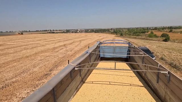 Розпочалися Осінні Жнива 2024.Молотимо свою СОЮ 290$ Наро? смотреть онлайн