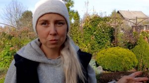 Посылка с розами от Усыниных! Почему я покупаю их розы)