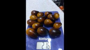 Высокоурожайный, вкусный и сладкий сорт томата СЛИВОВ