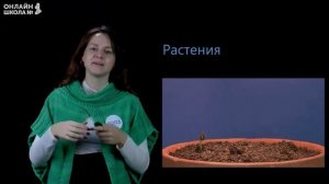 Видеоурок 13. Как живут растения и животные? Окружающий