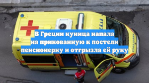 В Греции куница напала на прикованную к постели пенсионерку и отгрызла ей руку