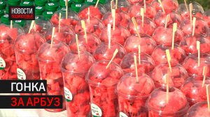 Рекордное количество участников собрал арбузный кросс в Одинцове // 360 Одинцово