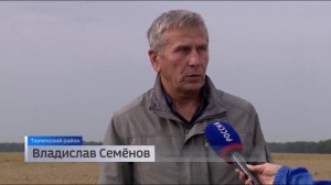 Фермеры Тюменского района продолжают уборку зерновых