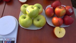 Сирена, Джерси, Одиссо, Густава, Рубинетта Россо, Карна