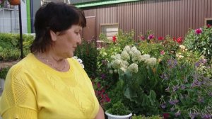 Главное украшение любого участка – яркий цветник