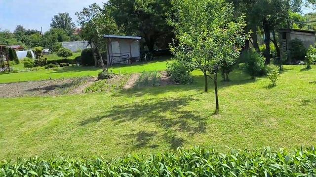 ЖИЗНЬ В ПОЛЬШЕ. ОБЗОР НА ДАЧНЫЕ УЧАСТКИ смотреть онлайн