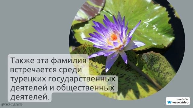 Акгюн - происхождение, значение и история фамилии: все о склонении и узнать свое происхождение