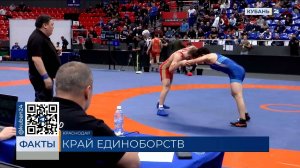 В Краснодарском крае единоборствами занимаются более 20 тыс. человек