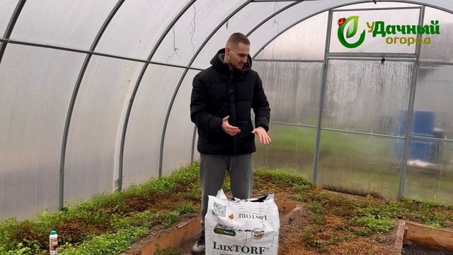 Какой грунт для рассады лучше выбрать: покупной или с ? смотреть онлайн