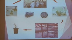 ЖИМОЛОСТЬ.НОВЫЕ СОРТА МИЧУРИНСКИЕ .НПЦ АГРОПИЩЕПРОМ.Я