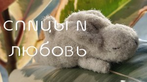 Спицы и любовь второй отчёт
