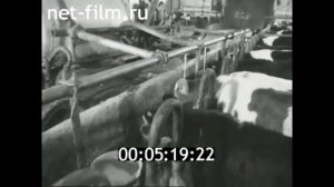 1983г. совхоз имени Ленина Московская обл