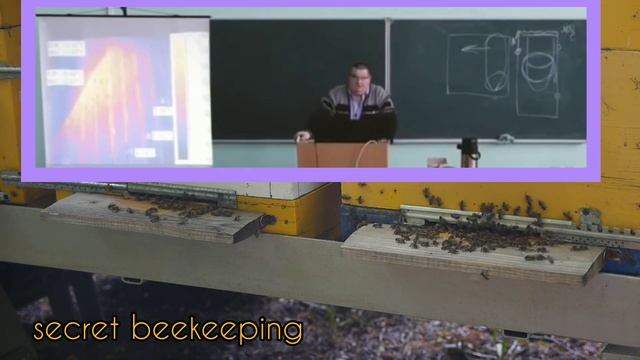 Нужно ли утепление пчёлам зимой. Пчелы смертницы. смотреть онлайн