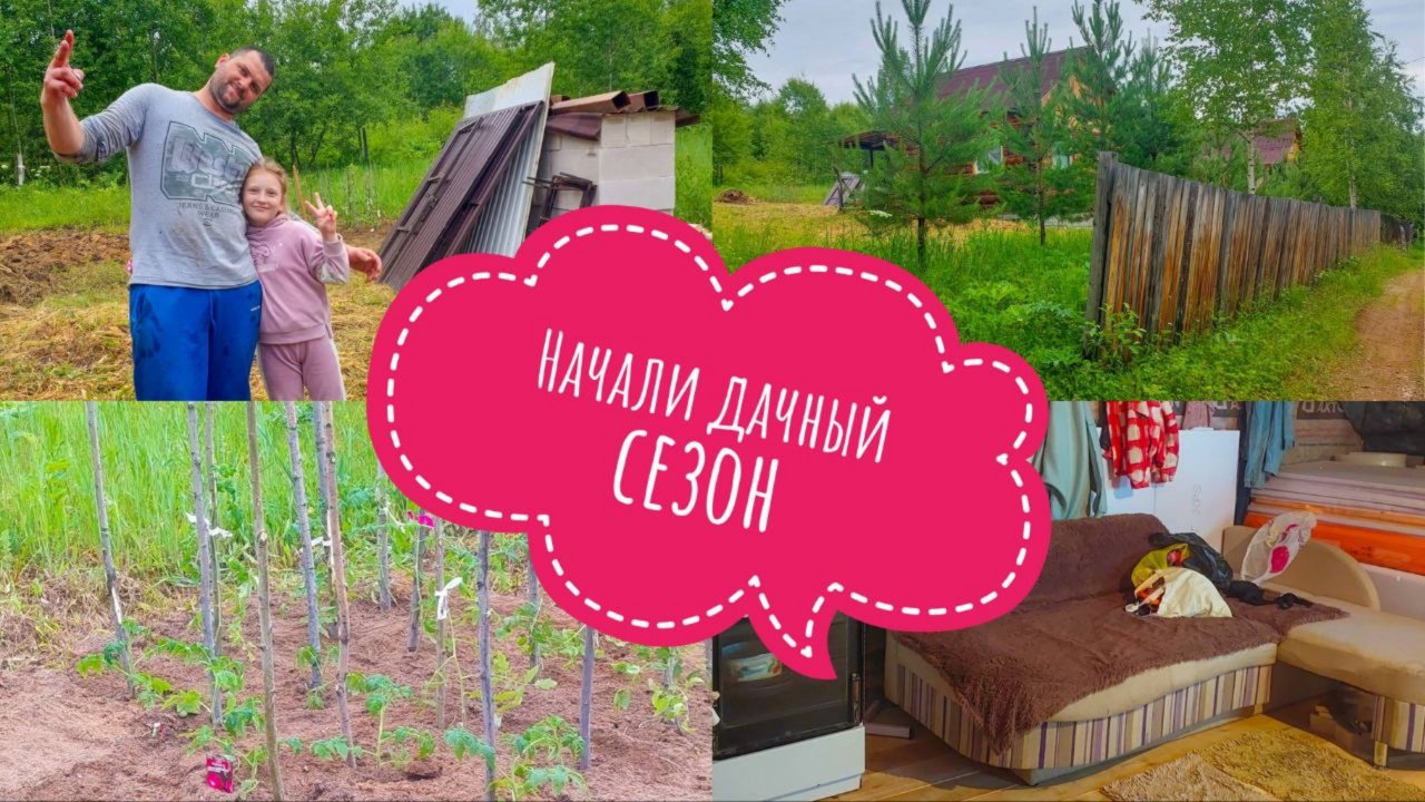 НАЧАЛИ ДАЧНЫЙ СЕЗОН🔥 в июне только🙈 Ваши ставки, что-то нарастет?🤷