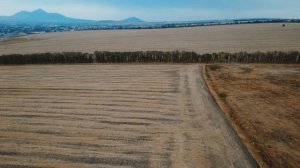 Видео природы России. Один день из моей жизни. Пустое поле, урожай собрали. Ждем осень.