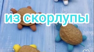 Из скорлупы