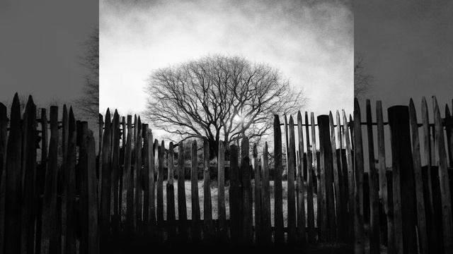 Кофр Иуды - Дерево в оградке (2007) смотреть онлайн