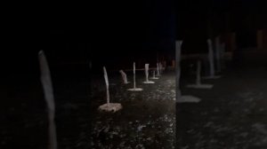 КАК УКРЫТЬ НА ЗИМУ ЯБЛОНЮ, ГРУШУ, ЧЕРЕШНЮ?