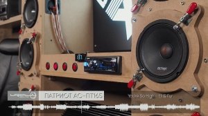 УРАЛ ПАТРИОТ ЭЛЕМЕНТ АС-ПТ165 vs Pioneer TS-M650Pro
