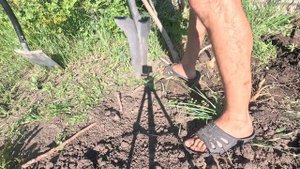 ВИДЕООБЗОР: лучшая лопата для КОРЧЕВАНИЯ корней и кус?