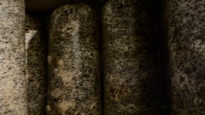 Отчет Выращивание Грибов без Мицелия Вешенка в Коробк