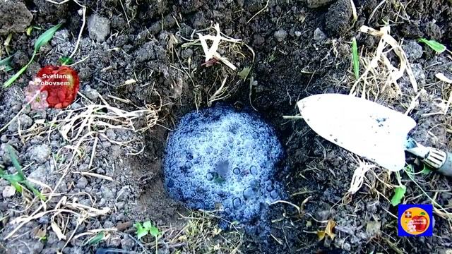 1 ЛОЖКА В ЛУНКУ ПРИ ПОСАДКЕ РАССАДЫ ОГУРЦОВ.ПРОСТАЯ ПО? смотреть онлайн