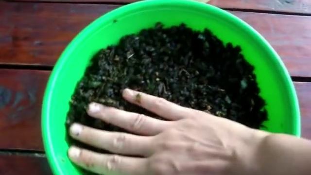 Ферментированный чай из листьев вишни без заморочек! смотреть онлайн