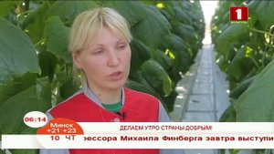 Утренние профессии. Овощевод