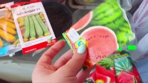 Лен.обл.Арбузы и дыня на рассаду 🏡🧚♀️🍉сезон2022#ар