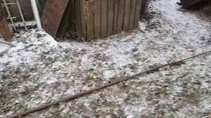 Как спилить ветки на высоте